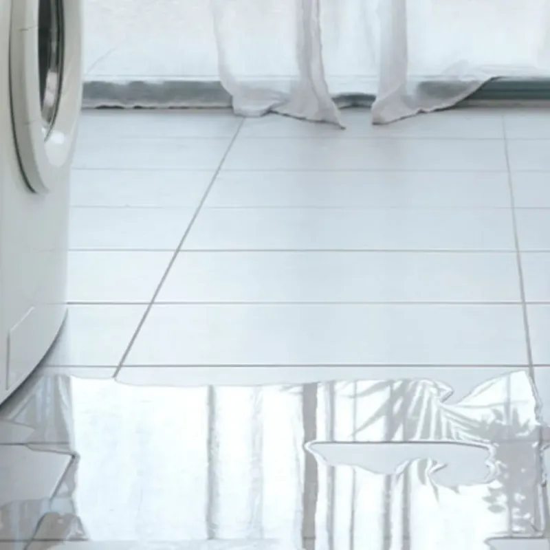 Appliance Leak Cleanup in Carlsbad, NM
