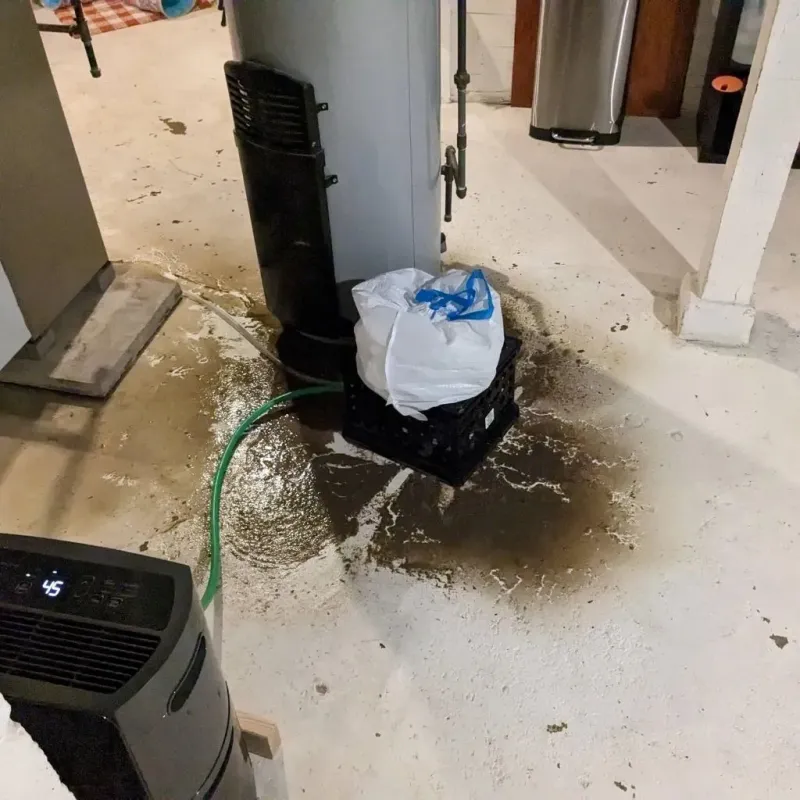 Sewage Backup Cleanup Service in Carlsbad, NM